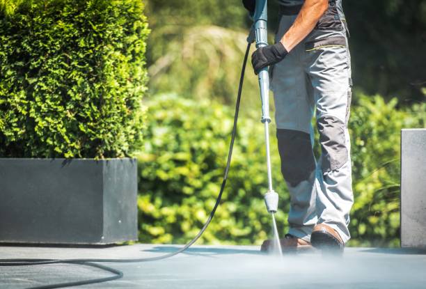 Best Driveway Cleaning and Restoration in Wofford Heights, CA